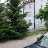 Lokal na wynajem